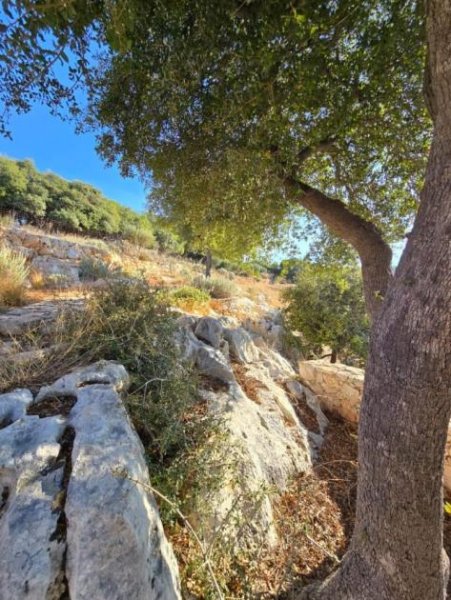 Vamos Kreta, Vamos: Erstklassiges Grundstück zum Verkauf in Vamos – Bereit zur Bebauung Grundstück kaufen